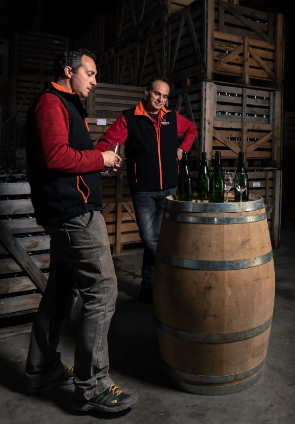 Vignoble du Domaine Capdepon - Villelongue, Aude